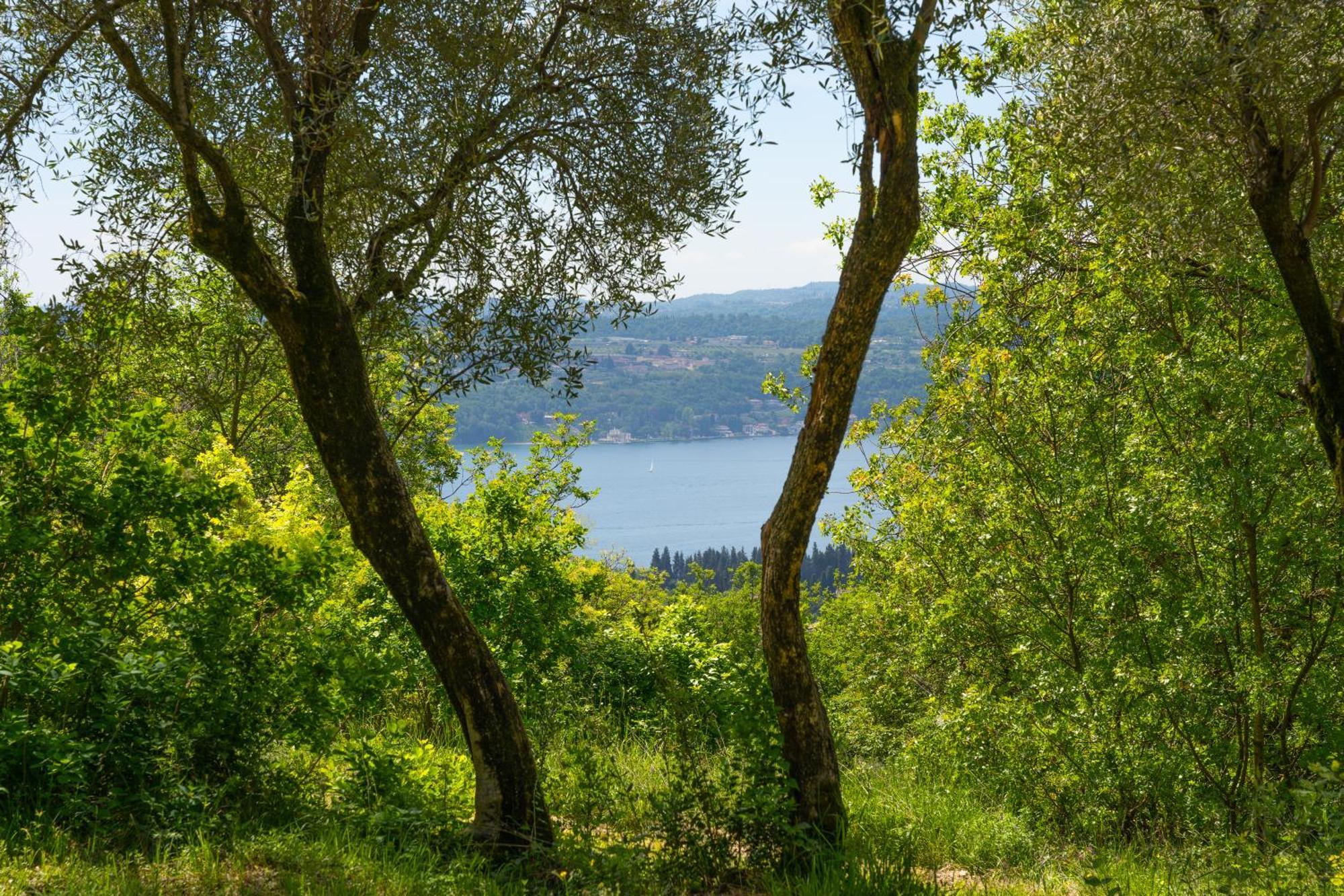 Premignaga Natural Home Gardone Riviera Dış mekan fotoğraf